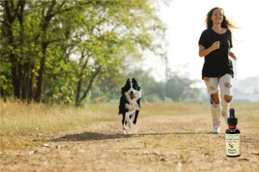 Picture of woman and dog with Natural Ways CBD pet oil tincture for dogs. 