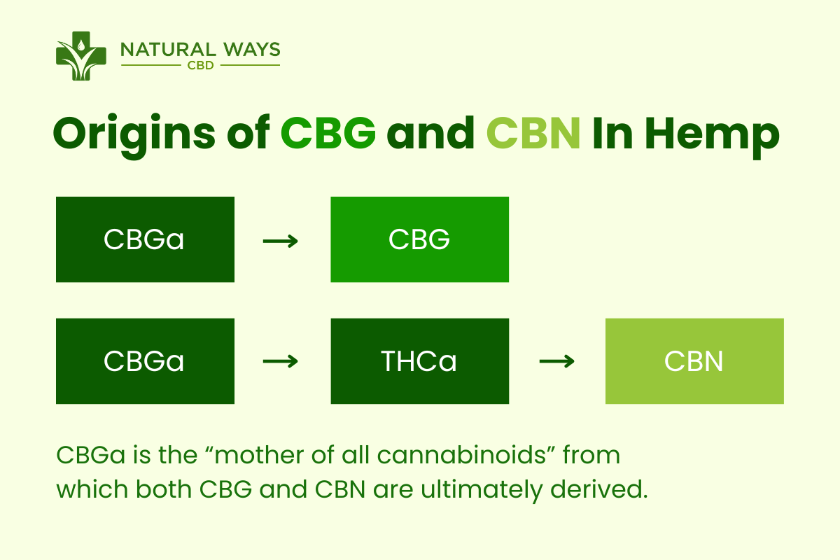 CBG vs CBN extraction process