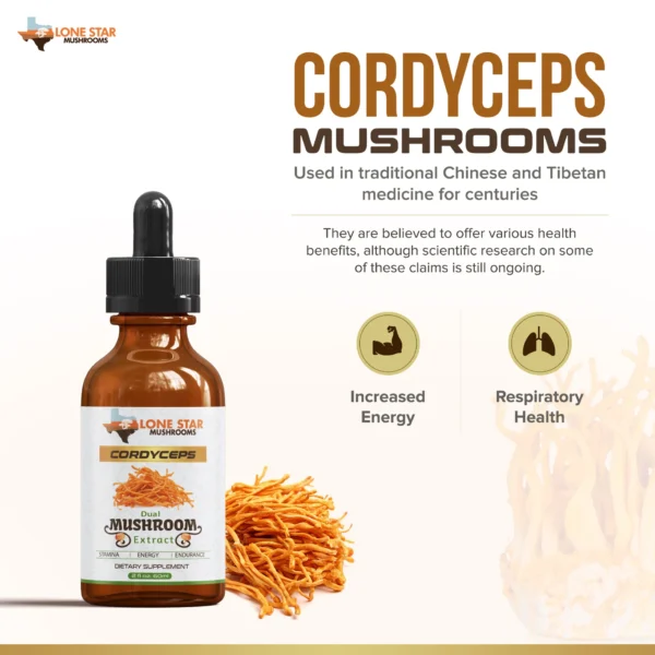 Mushroom Extract - Cordyceps